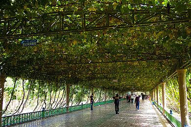 《塔瑞斯世界》国际服11月4日停服 曾对标WOW